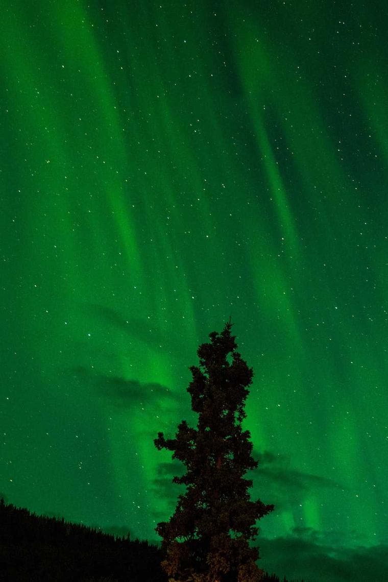 交付现场与成果展示