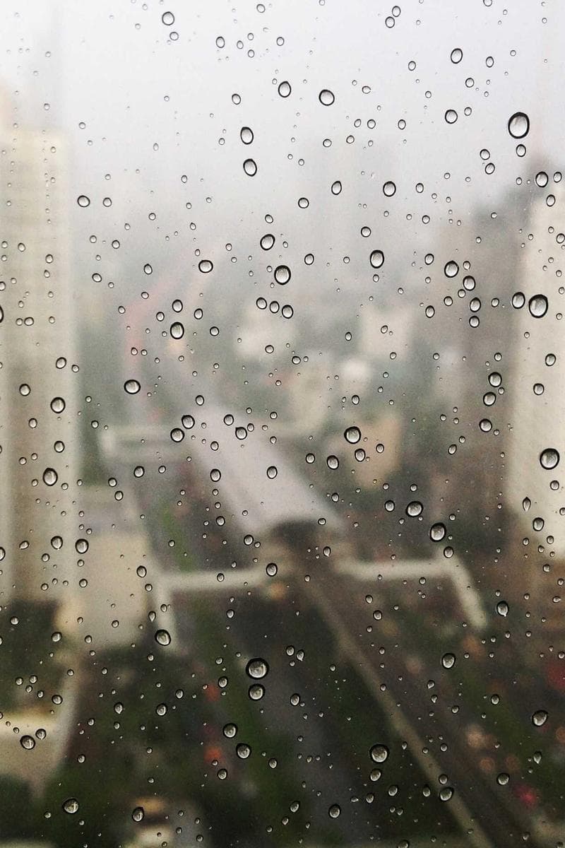 场景与能力展示